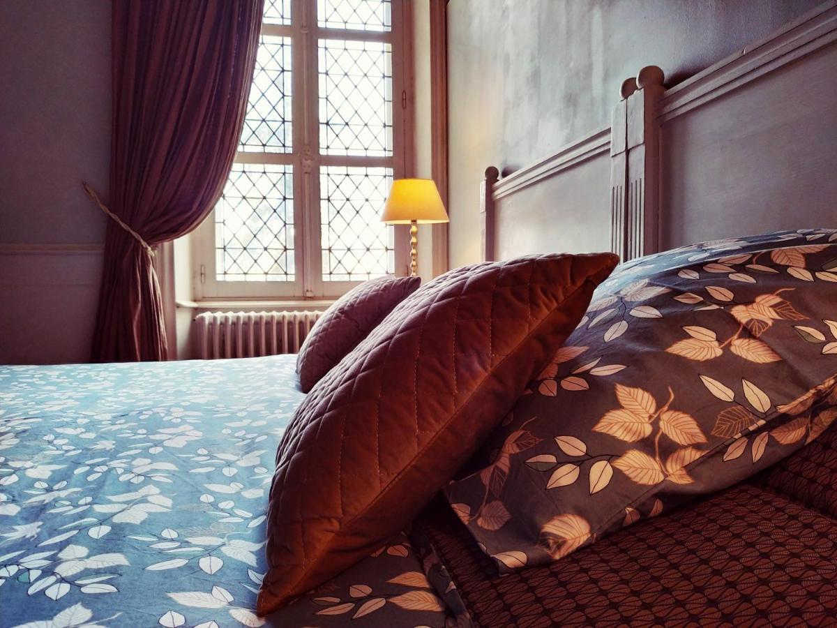 Chateau De Belle-Vue Bed & Breakfast Sainte-Cecile  Bagian luar foto
