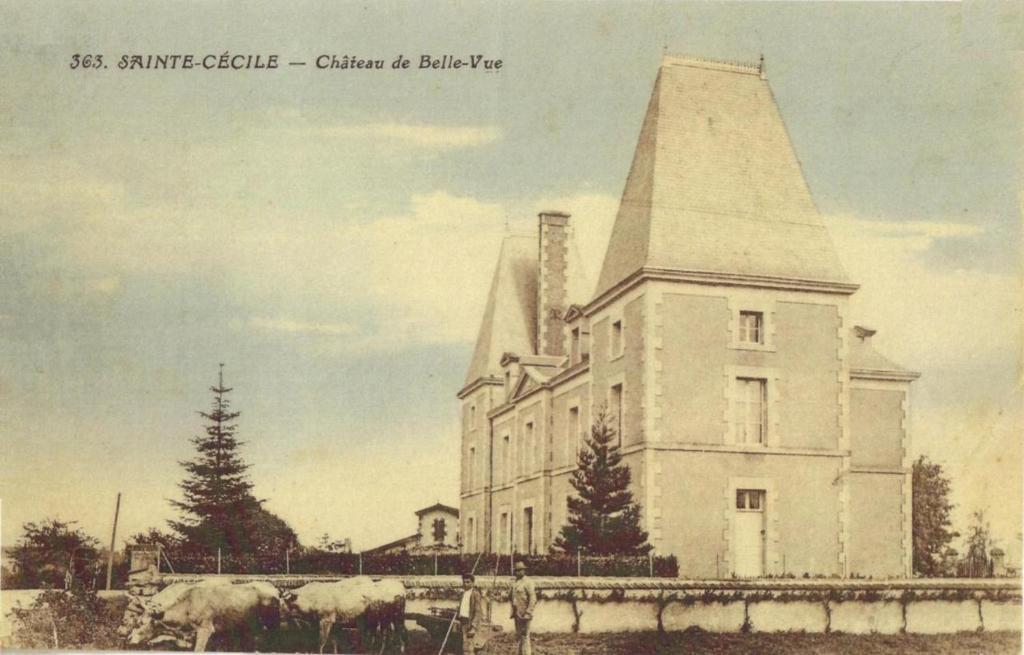 Chateau De Belle-Vue Bed & Breakfast Sainte-Cecile  Bagian luar foto