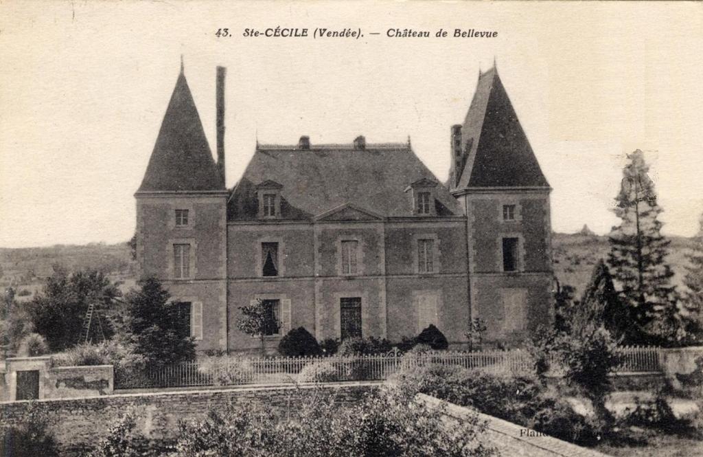 Chateau De Belle-Vue Bed & Breakfast Sainte-Cecile  Bagian luar foto